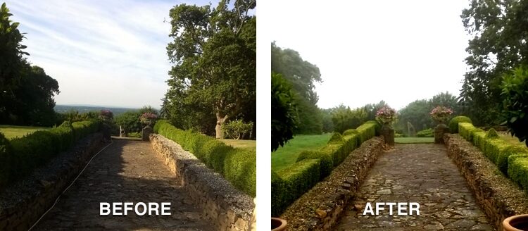 Before and After pic