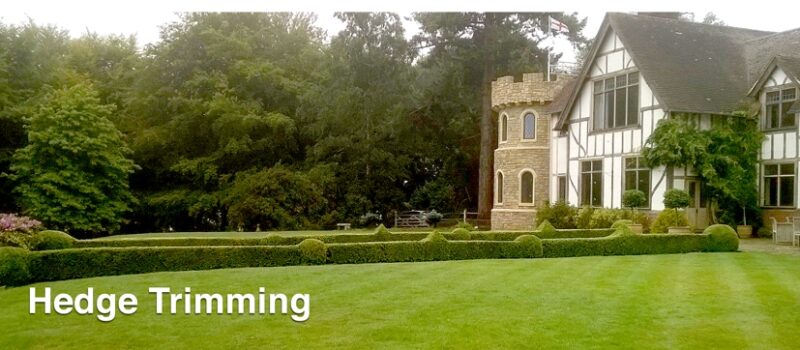 HedgeTrimming2 Hedge Trimming pic