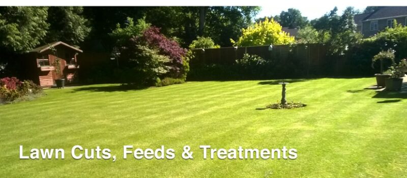 Lawns4 Lawn cuts and treatments