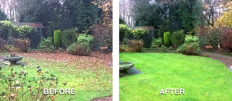 Before and After pic