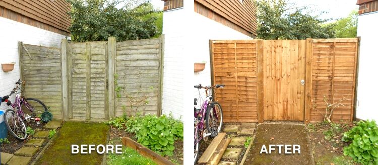 Before and After pic