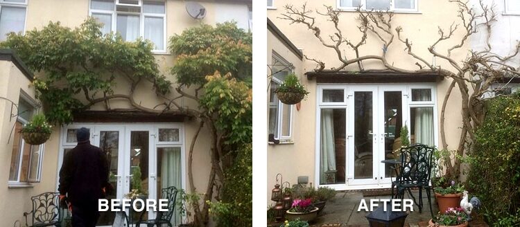 Before and After pic