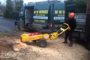 Quality Garden Maintenance Services