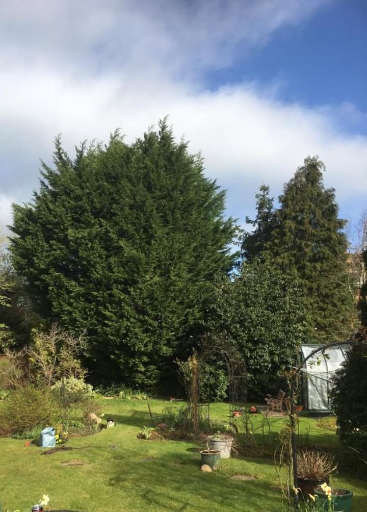 M W Hedges Garden Maintenance Services Ltd